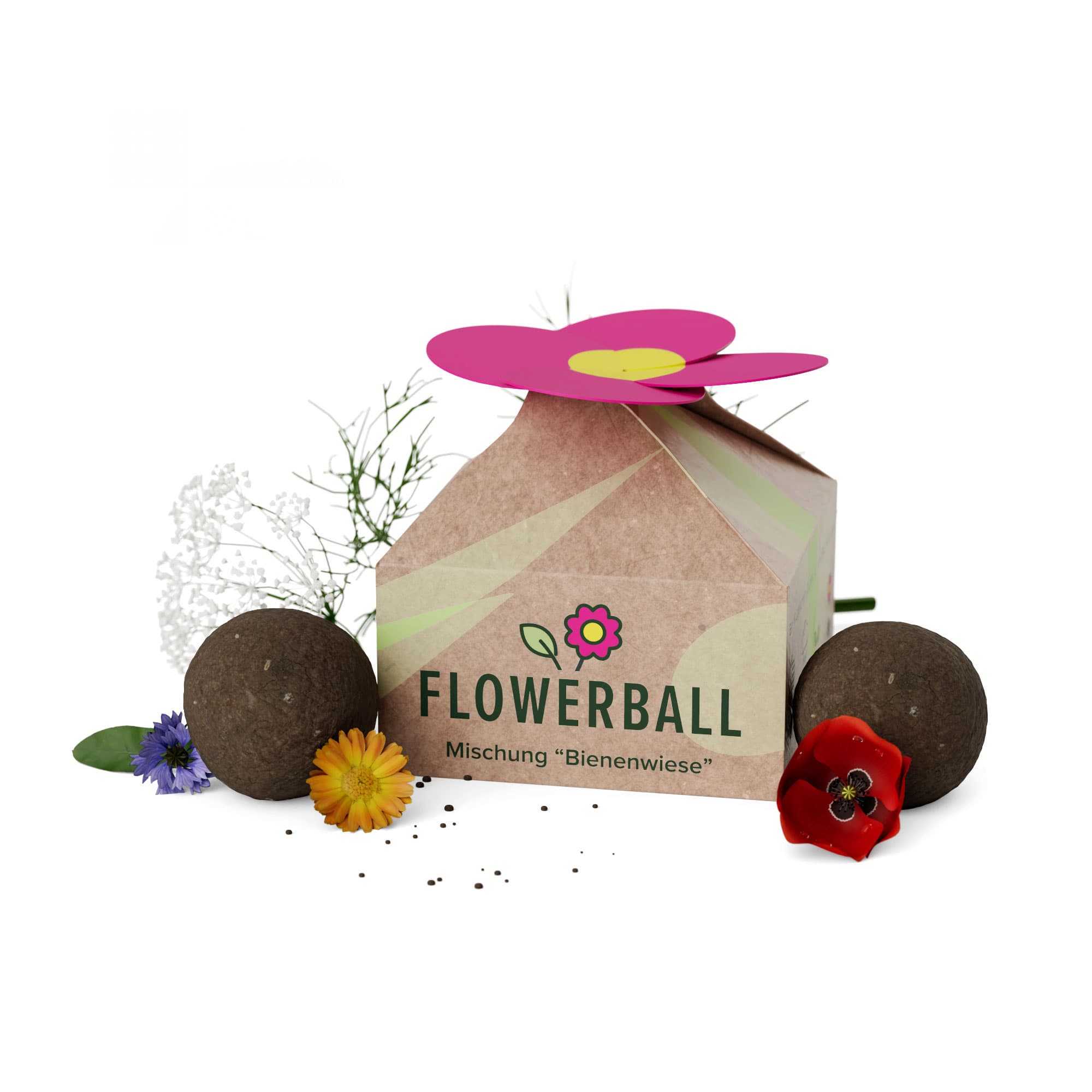 Seedbomb Set - Flower-Ball "Bienenwiese" - torffrei