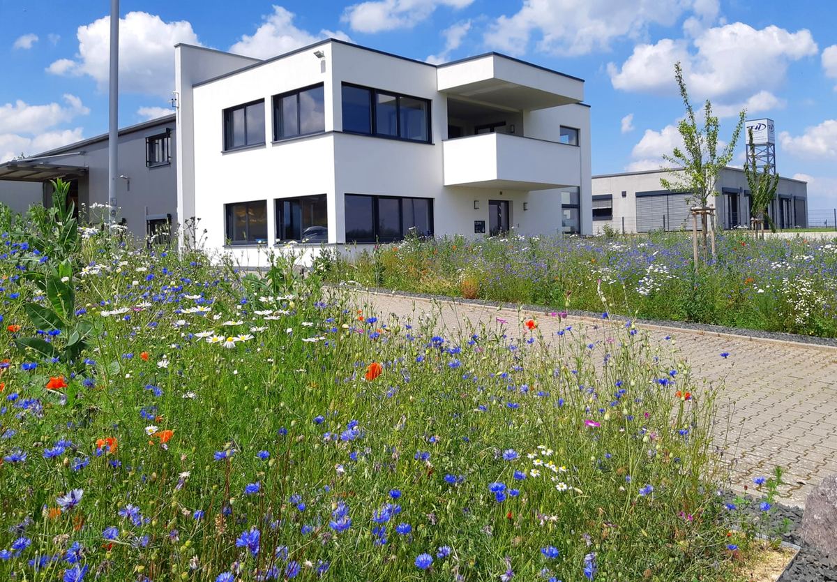 tobra Firmensitz in Roth mit Bienenweide